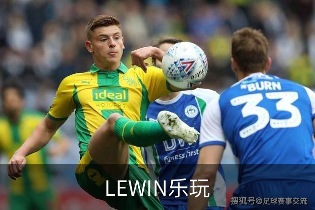 LEWIN乐玩公司简介图片